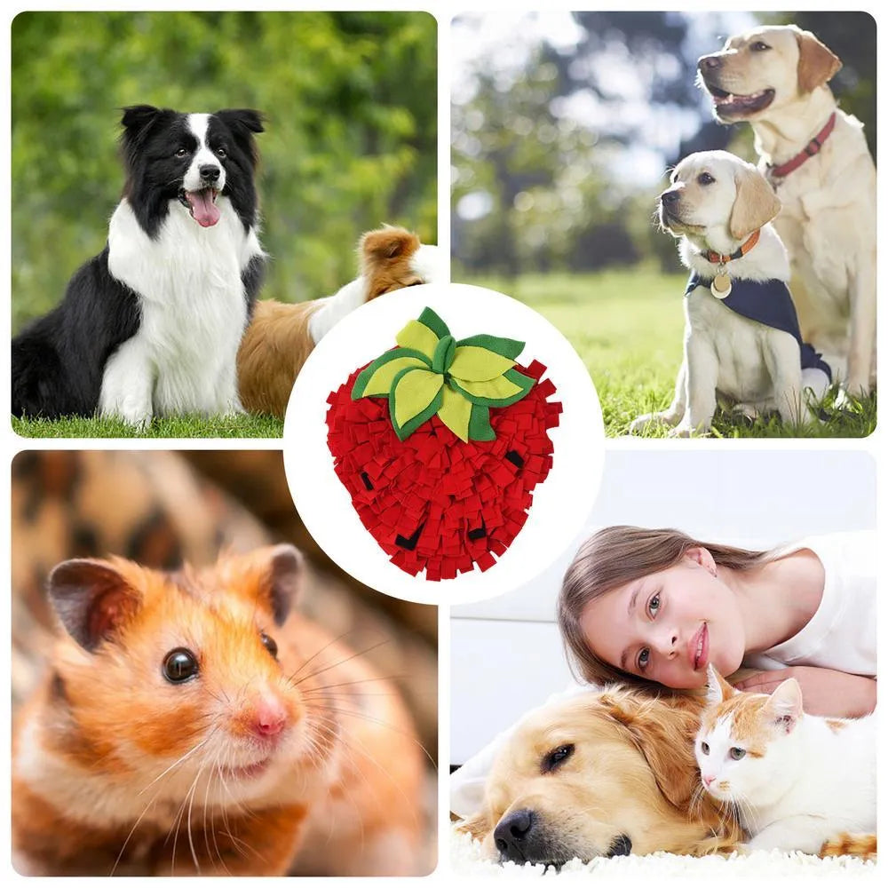 Red and green strawberry-shaped pet snuffle mat with hiding spots for interactive feeding