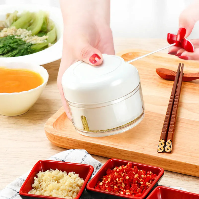 Compact manual food chopper with stainless steel blades for chopping vegetables, garlic, and ginger.