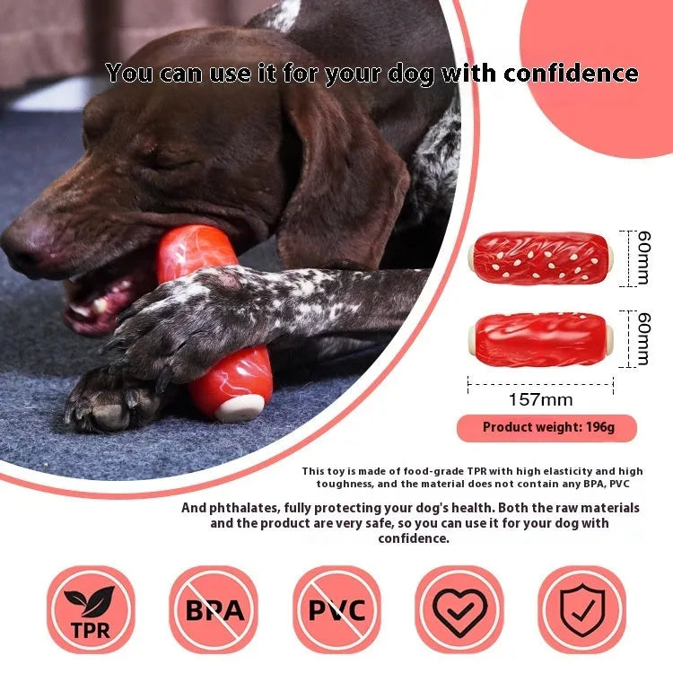 Primary coloured plastic dog chew toy shaped like a textured molar rod and toothbrush.