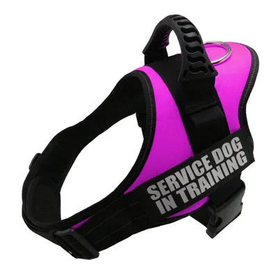 Personalised reflective nylon no-pull dog harness vest on a dog, showing adjustable straps and D-ring.