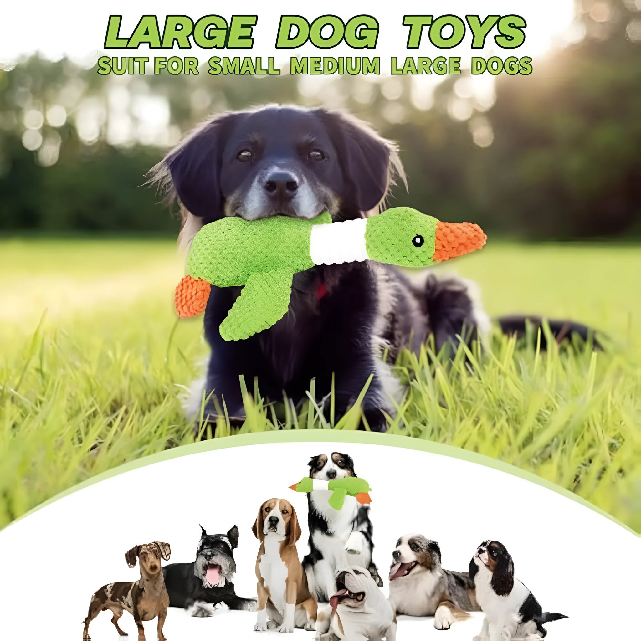 Blue plush duck dog toy with squeakers for chewing and fetch play.