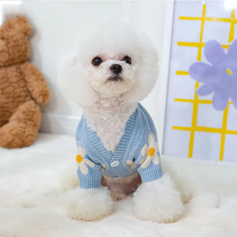 Small dog wearing blue polyester autumn winter clothing on a grassy background.