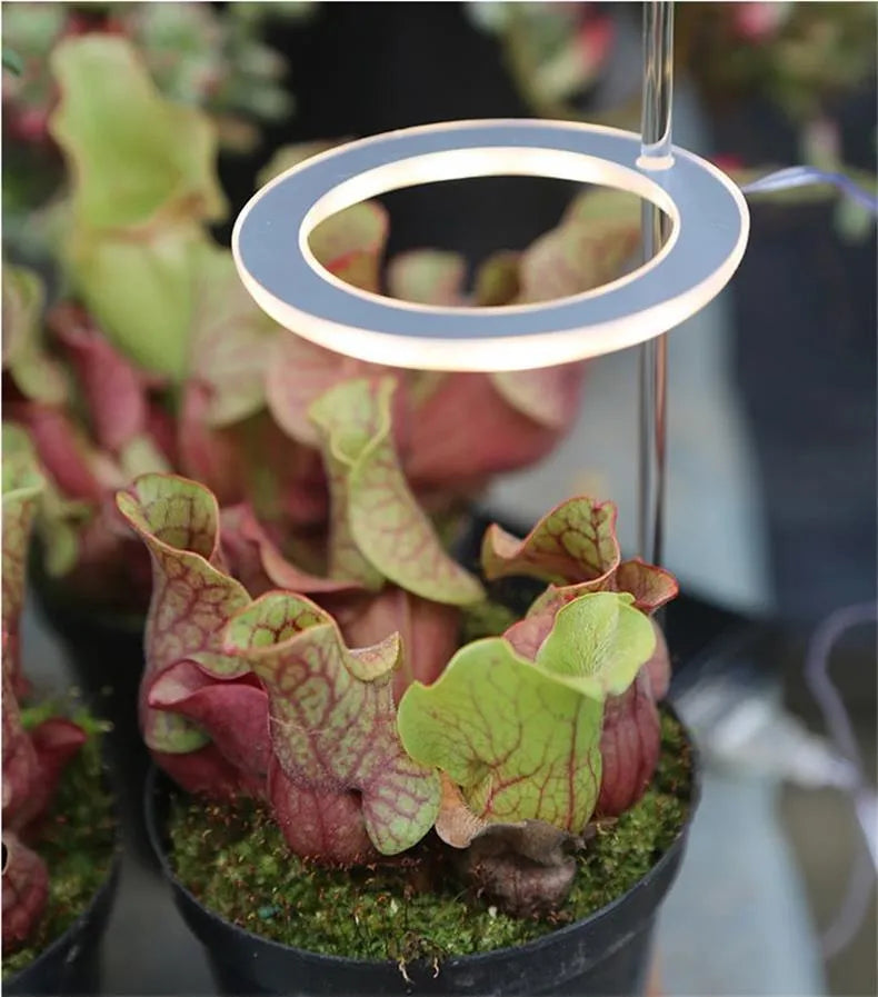 USB LED grow light with transparent housing and yellow light on 25cm acrylic stick