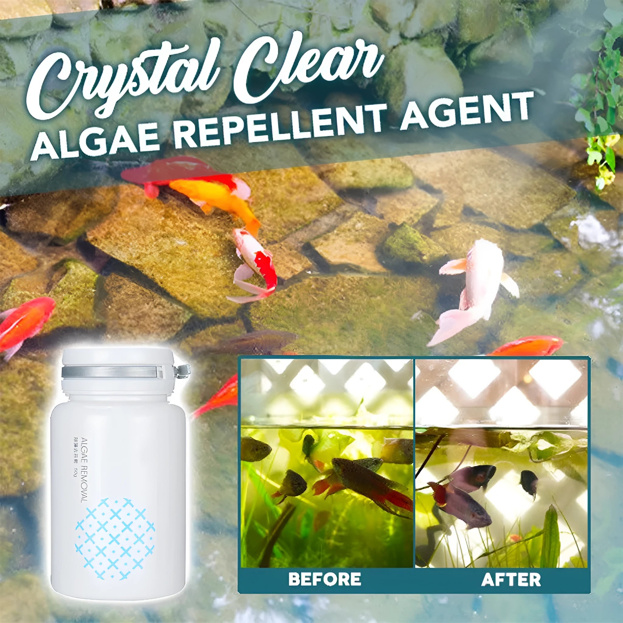 50g swimming pool algaecide for algae removal and moss control in aquatic environments