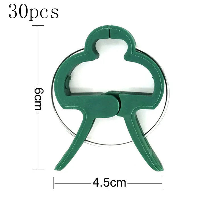 Green plastic and zinc plant fixing clips in large and small sizes for securing climbing plants.