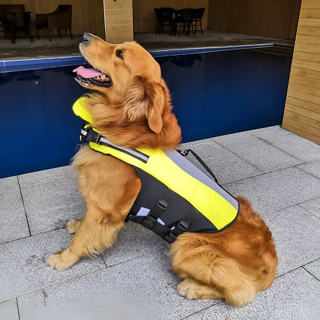 Fluorescent yellow pet reflective airbag nylon life jacket with reflective strips on a dog near water