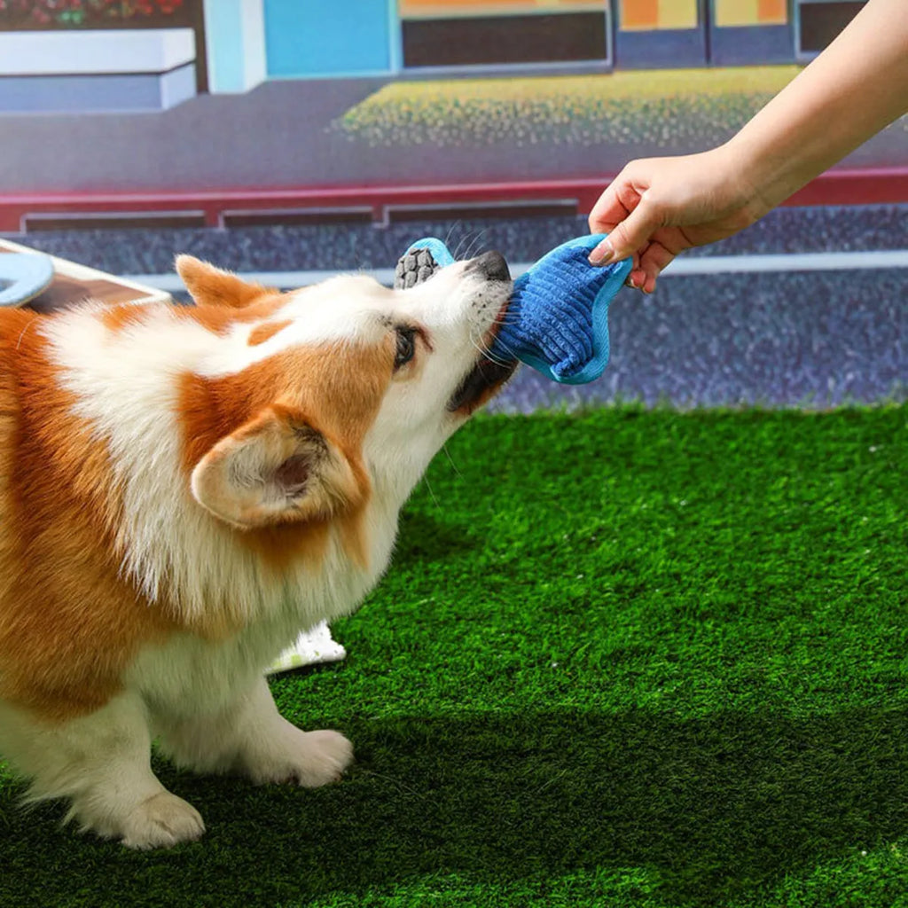 Blue teddy dog chew toy with sound bone, showing soft corn fleece lining and bite-resistant fabric.