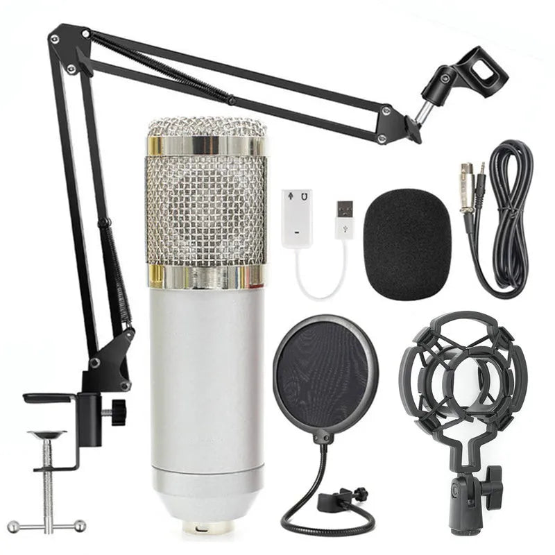 BM-800 condenser microphone set with net stand in black on desktop