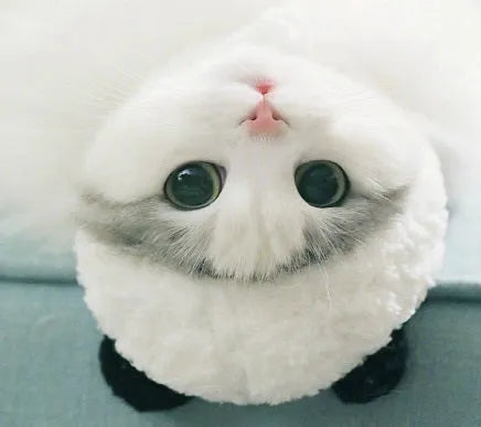White wool panda costume pet hat with adjustable fit for cats and small dogs, sizes S M L XL