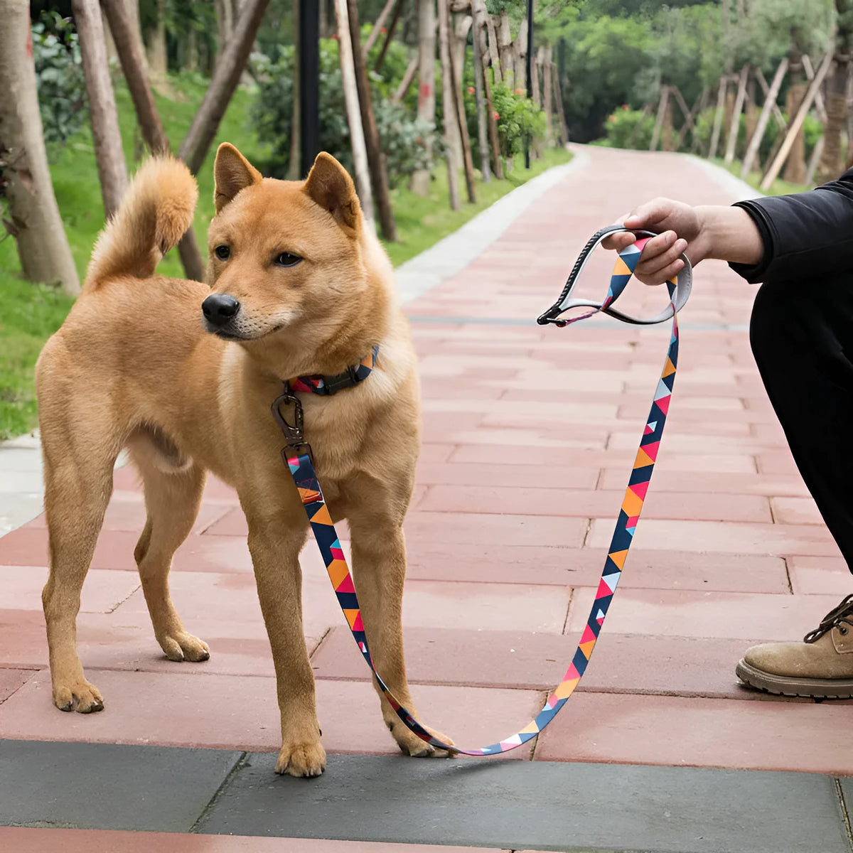 150cm dog lead in polyester with heat transfer printing and zinc alloy fittings, shown in S M L widths