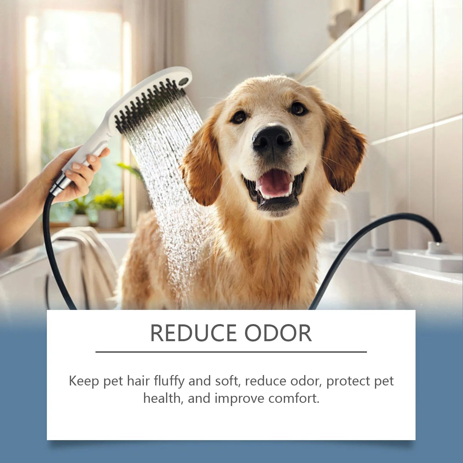 100ml bottle of cat and dog cleaning bath shampoo with milk and coconut oil