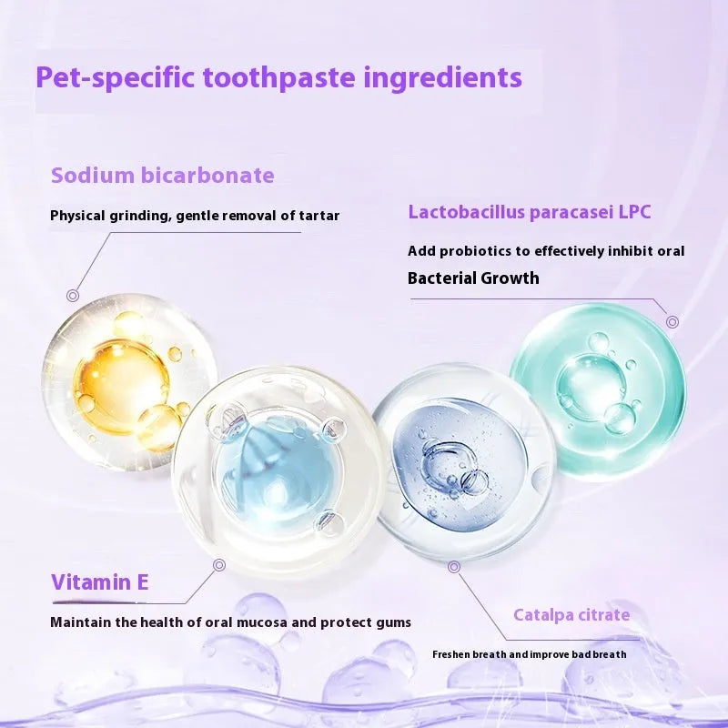 5ml pet toothbrush pen with integrated soft bristle applicator for dog and cat teeth cleaning.
