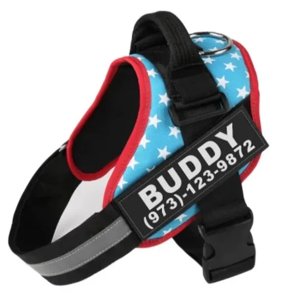 Personalised reflective nylon no-pull dog harness vest on a dog, showing adjustable straps and D-ring.