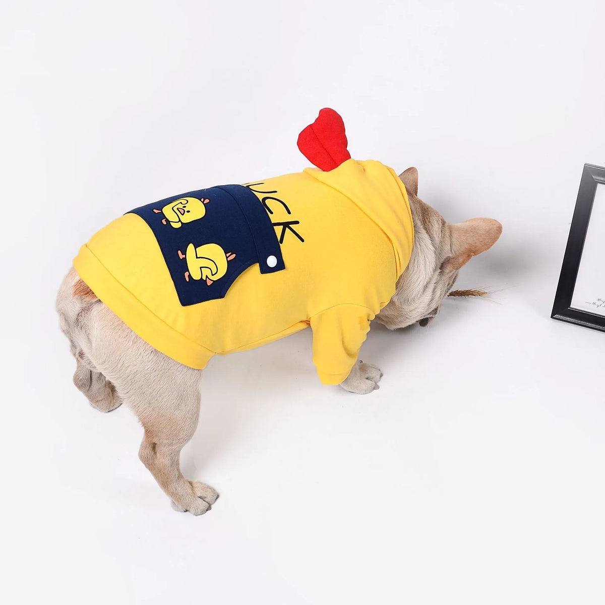 Cotton wool pet dog sweatshirt pull frame in blue red yellow, sizes XS to 2XL and FB