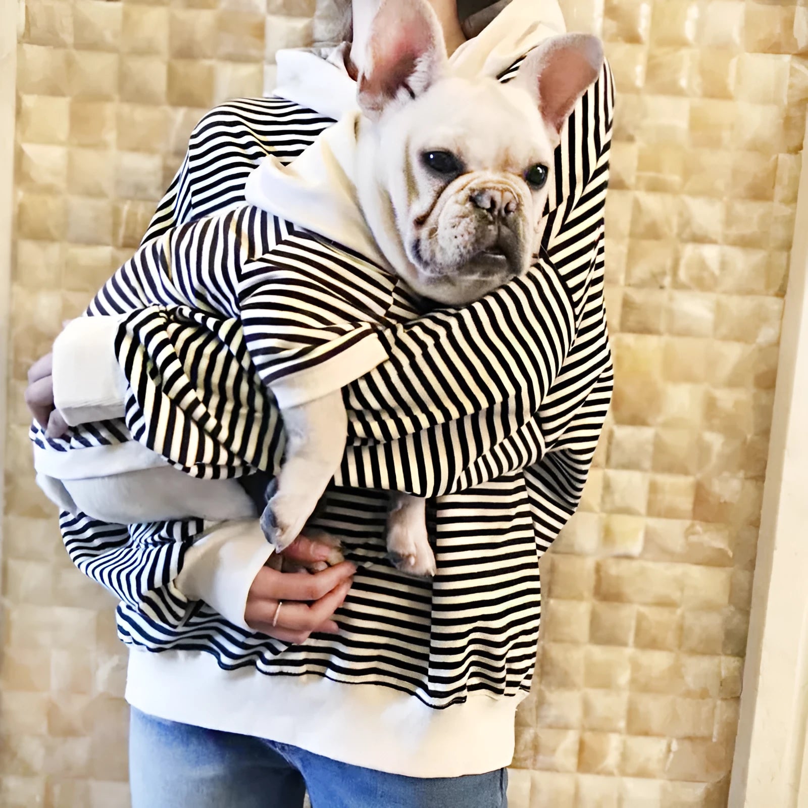 Cotton terry dog sweater in khaki for Teddy small breeds, front view