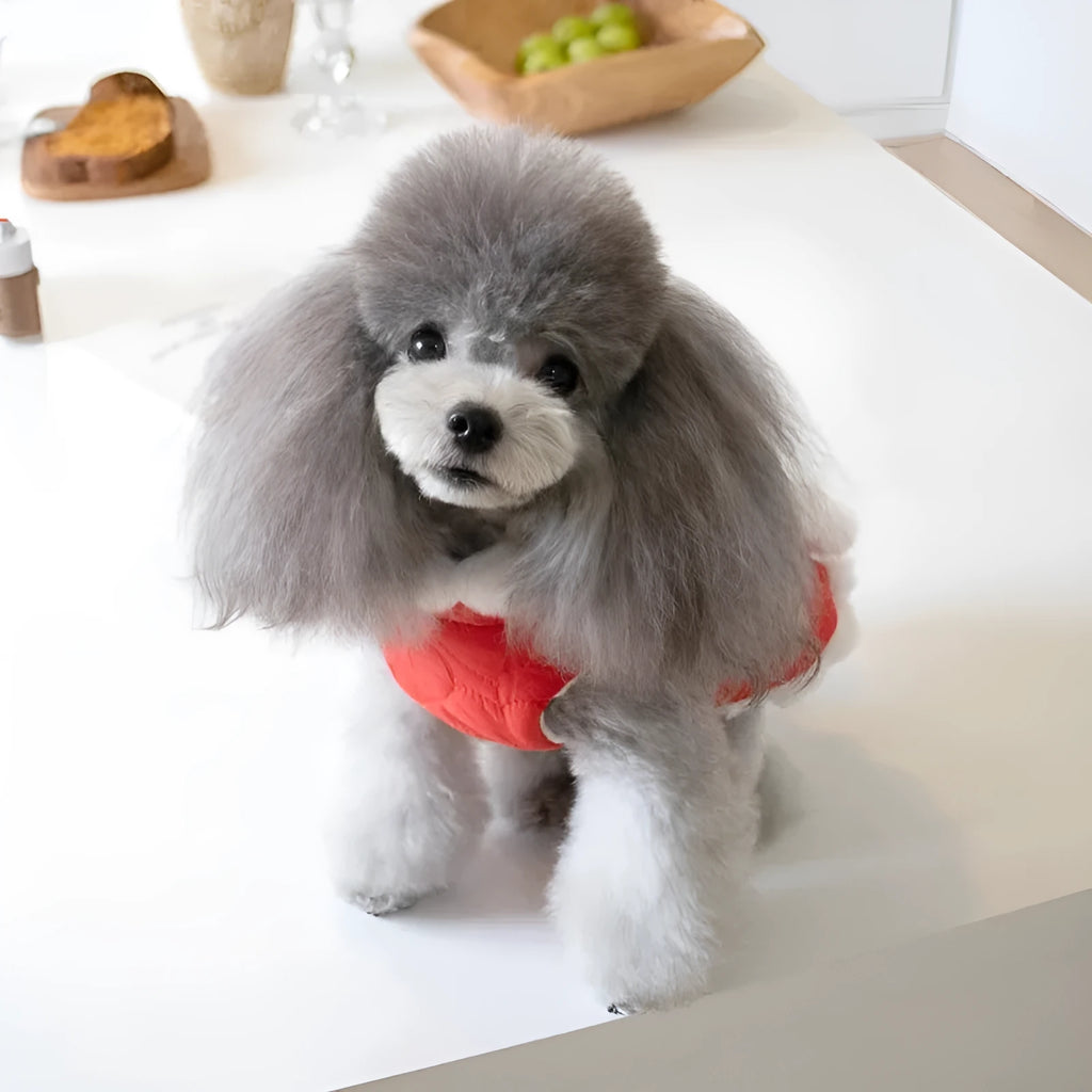 Red Chinese-style pet clothing with thick fur collar and knot detailing for dogs and cats