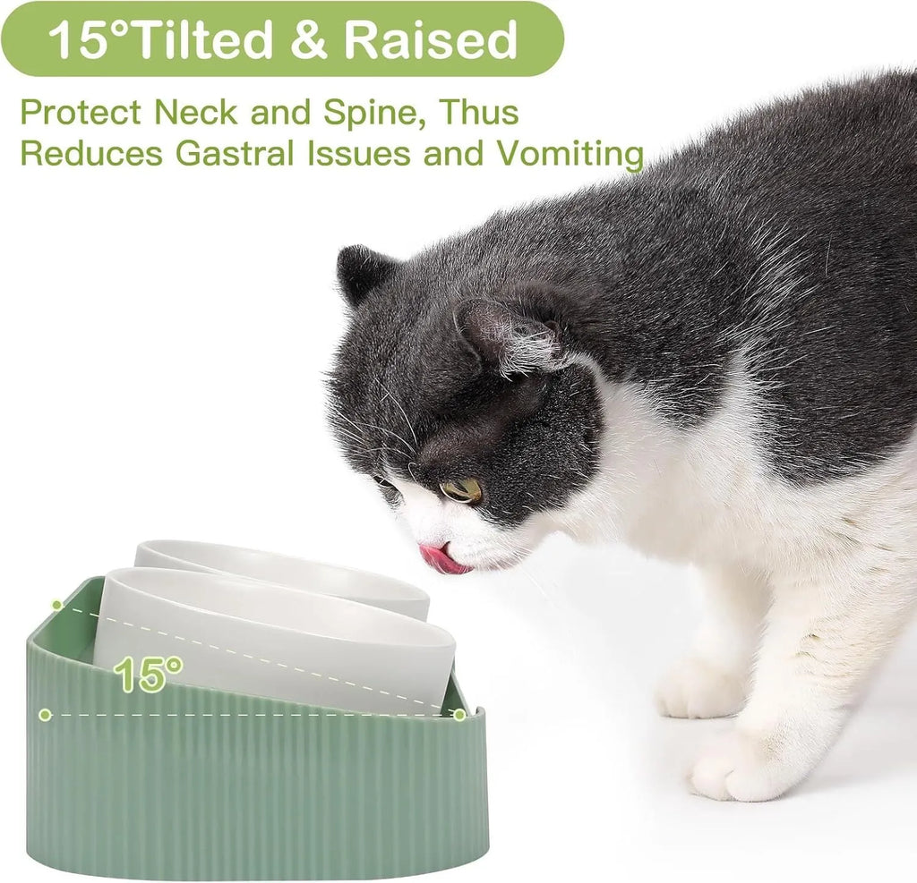 Green ceramic raised cat feeding bowls set with tilted design on a non-slip stand