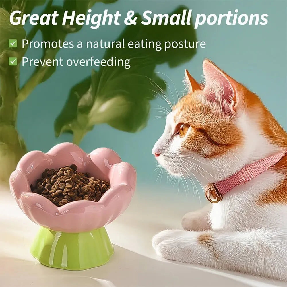 Pink ceramic raised cat bowl with flower shape and non-slip base, 15-degree angle, for small to medium cats