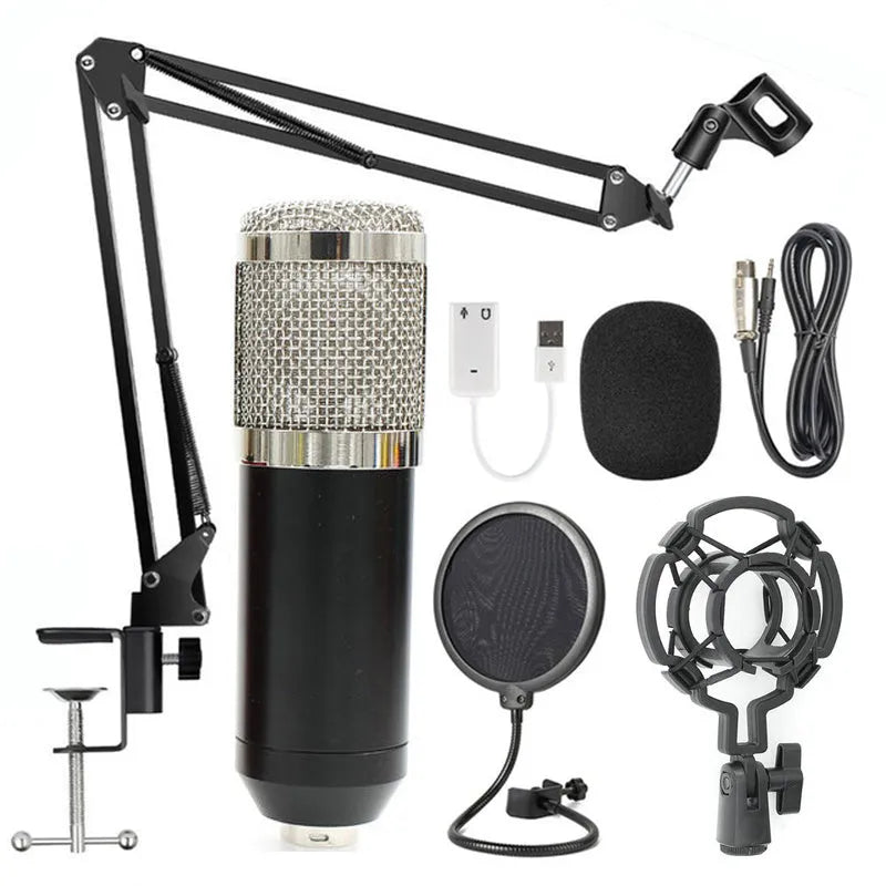BM-800 condenser microphone set with net stand in black on desktop