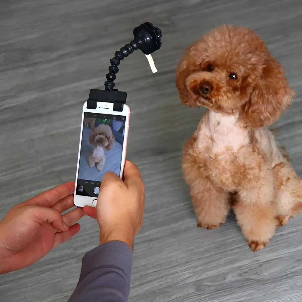 Black pet selfie stick with square and flower smartphone clips on white background