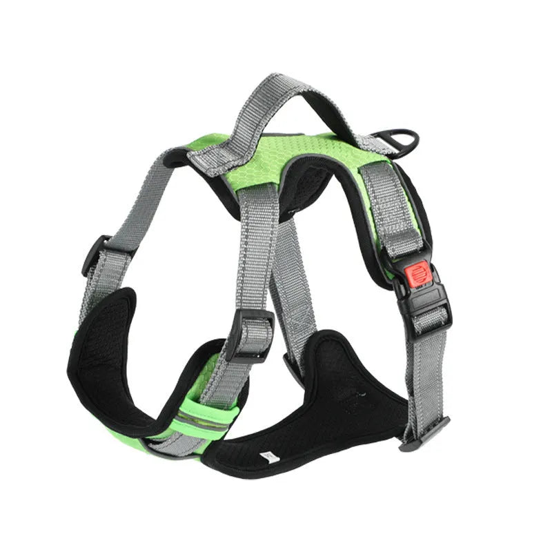 Orange polyester dog chest strap vest harness with an adjustable strap and a matching hand holding rope.