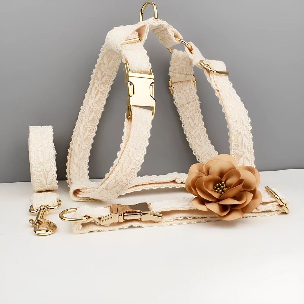 Lace pet wedding vest and collar set with floral decorations on dog model