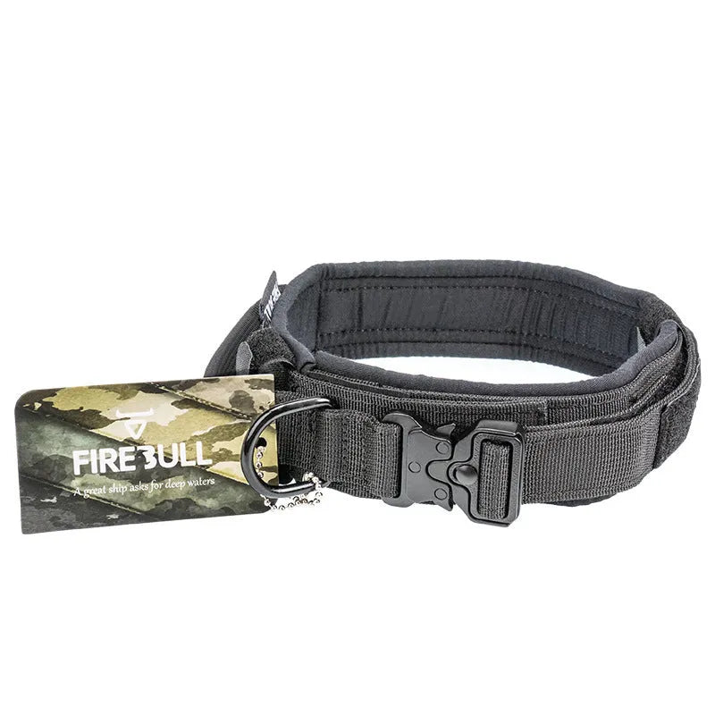 Nylon dog collar and leash set in grey, on a white background