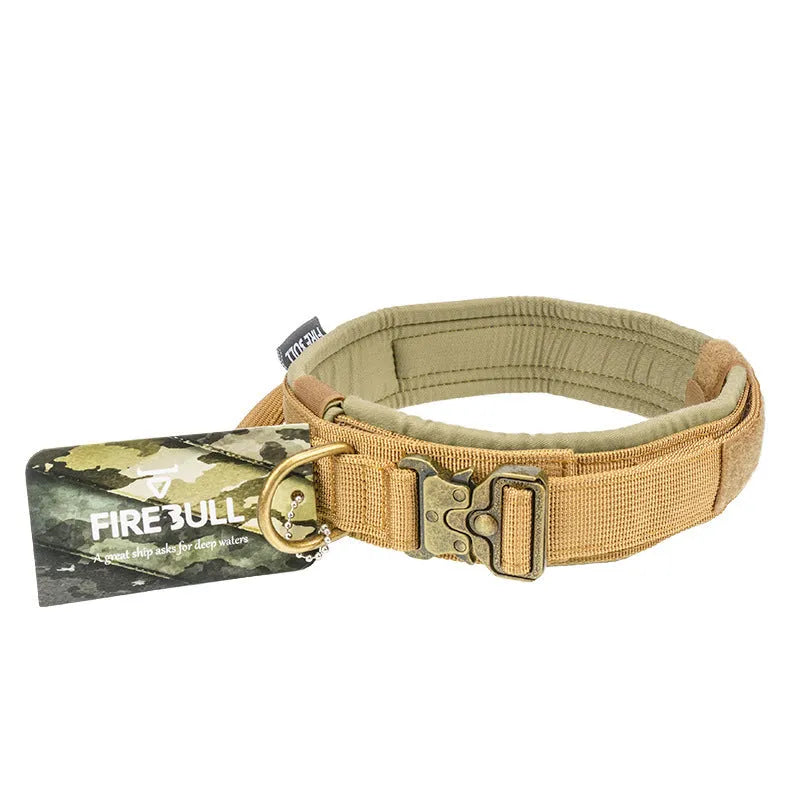 Nylon dog collar and leash set in grey, on a white background
