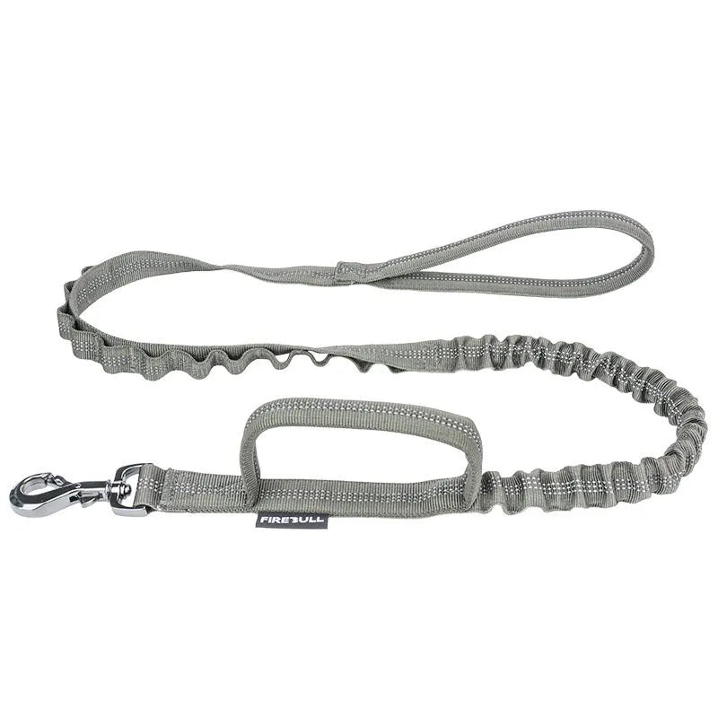 Nylon dog collar and leash set in grey, on a white background