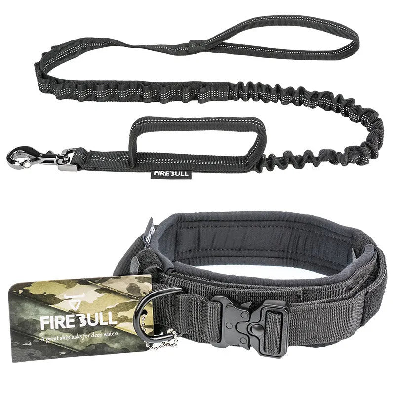 Nylon dog collar and leash set in grey, on a white background