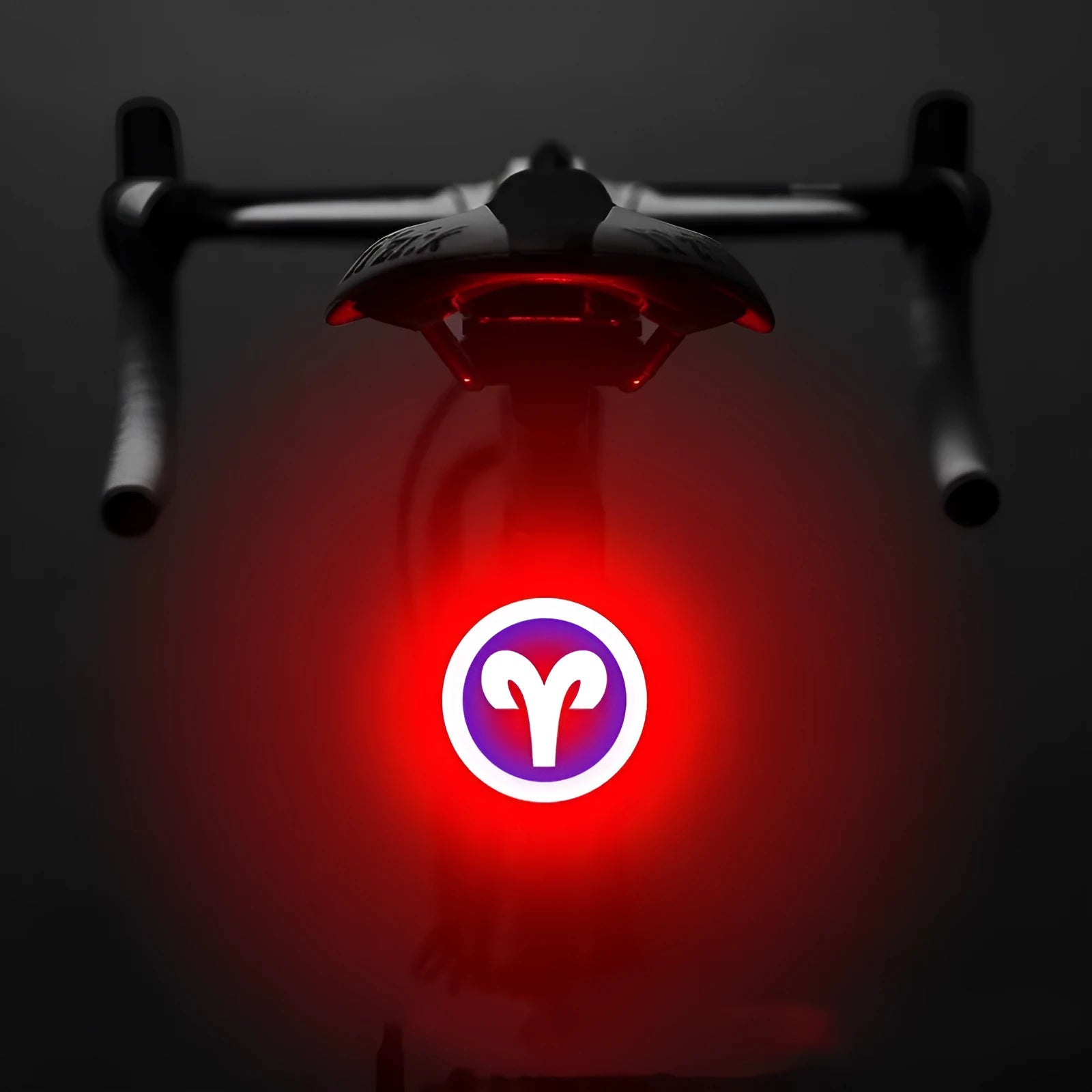 Bicycle intelligent auto brake sensor light with waterproof LED, rechargeable, zodiac streamlined style, PC engineering plastics