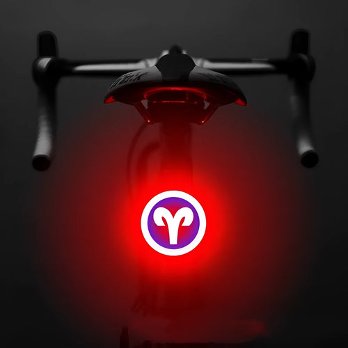 Bicycle intelligent auto brake sensor light with waterproof LED, rechargeable, zodiac streamlined style, PC engineering plastics