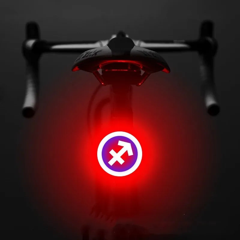 Bicycle intelligent auto brake sensor light with waterproof LED, rechargeable, zodiac streamlined style, PC engineering plastics