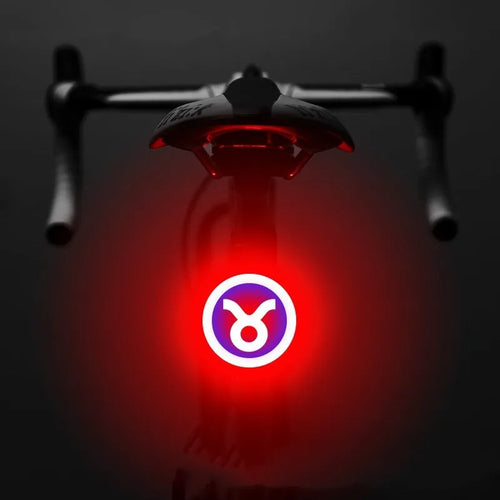 Bicycle intelligent auto brake sensor light with waterproof LED, rechargeable, zodiac streamlined style, PC engineering plastics