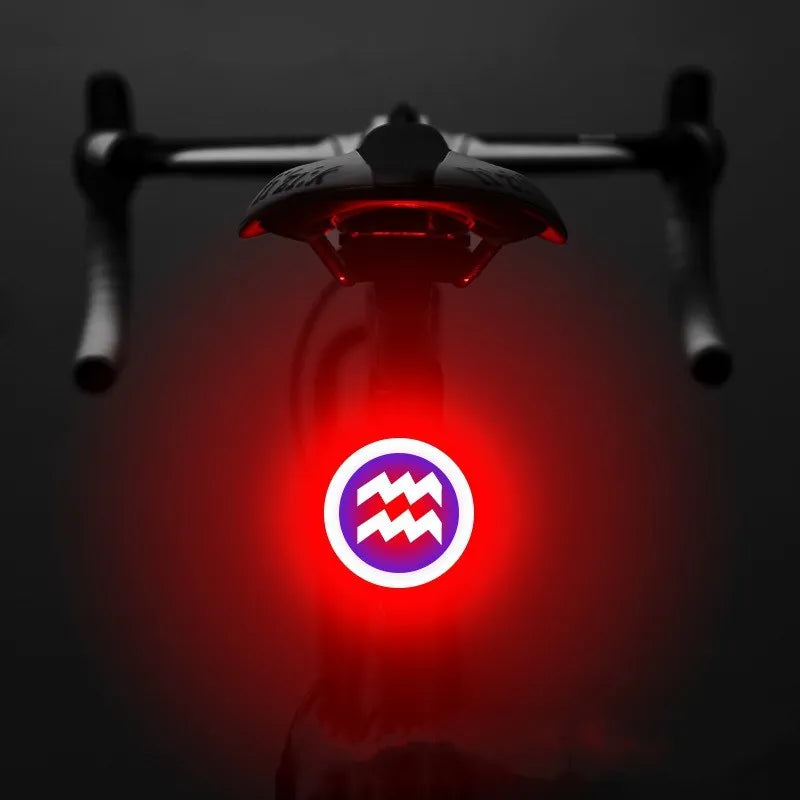 Bicycle intelligent auto brake sensor light with waterproof LED, rechargeable, zodiac streamlined style, PC engineering plastics