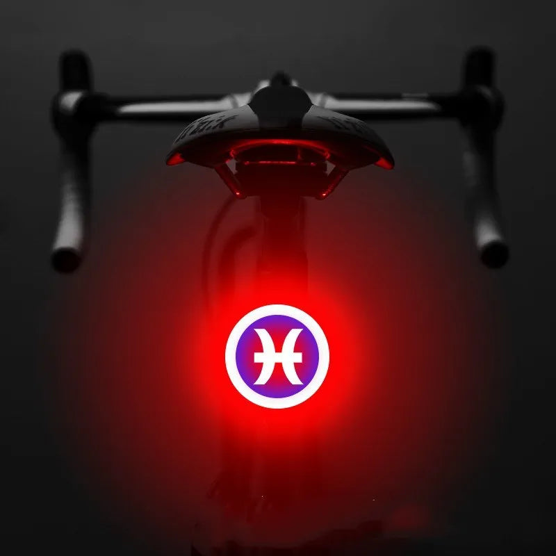 Bicycle intelligent auto brake sensor light with waterproof LED, rechargeable, zodiac streamlined style, PC engineering plastics