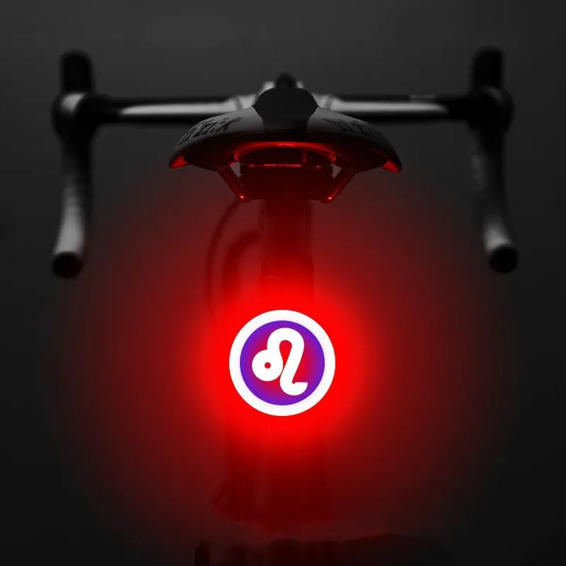 Bicycle intelligent auto brake sensor light with waterproof LED, rechargeable, zodiac streamlined style, PC engineering plastics
