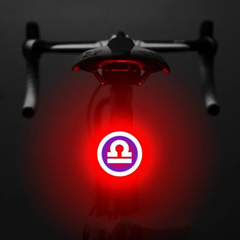 Bicycle intelligent auto brake sensor light with waterproof LED, rechargeable, zodiac streamlined style, PC engineering plastics