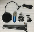 BM800 capacitance microphone set with cantilever bracket spray net metal shock mount white for computer recording