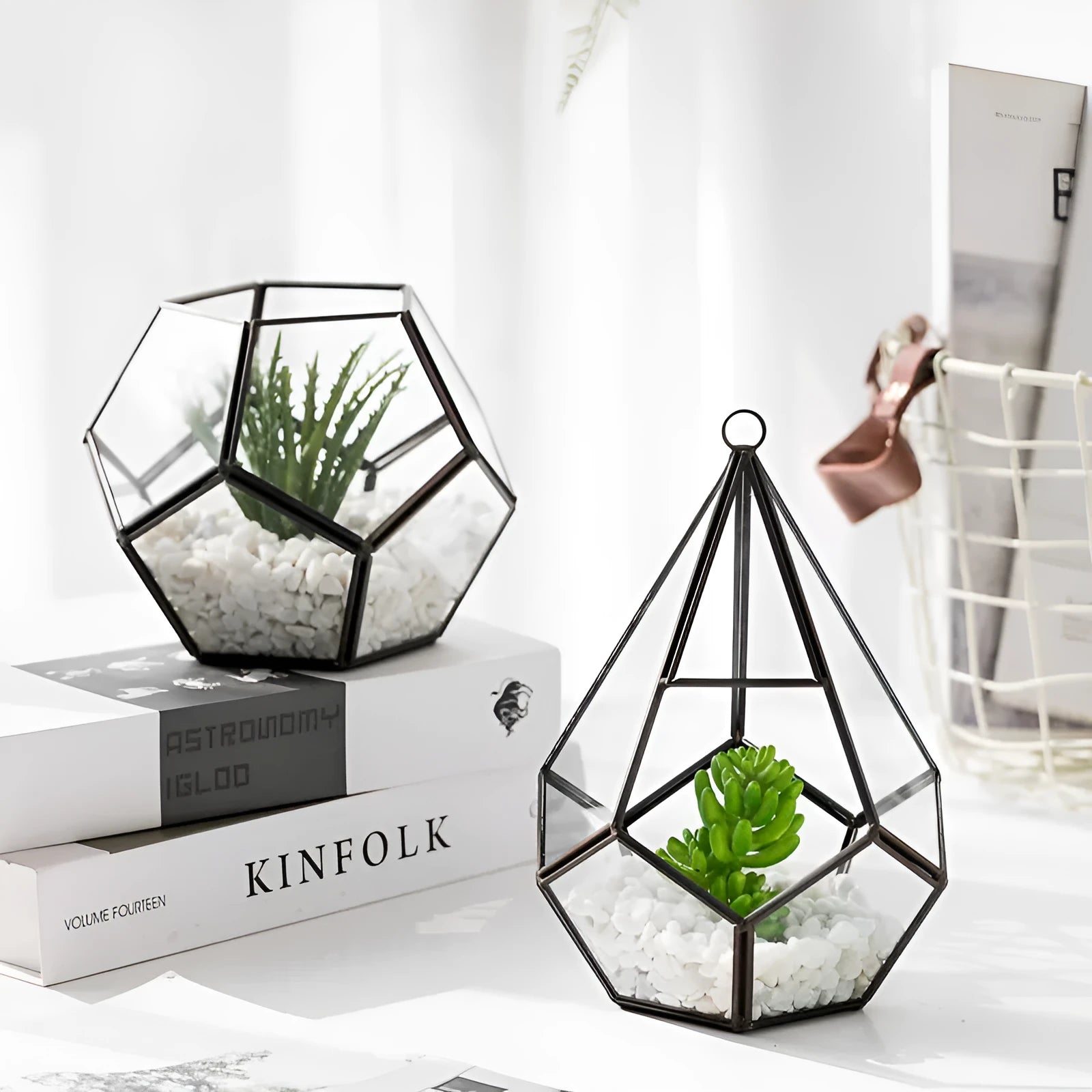 Metal and glass decorative succulent bonsai pot in two style options for home decoration
