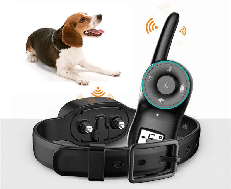 Black and orange waterproof rechargeable dog training collar with remote control unit