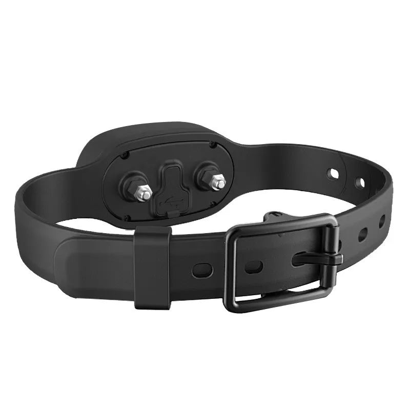 Black and orange waterproof rechargeable dog training collar with remote control unit