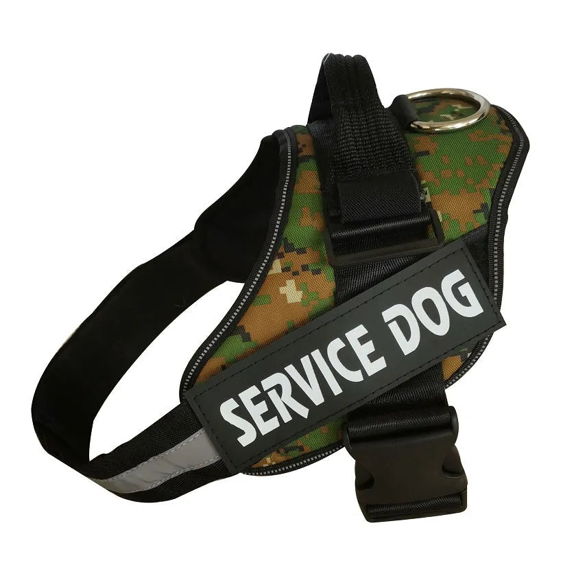 Personalised reflective nylon no-pull dog harness vest on a dog, showing adjustable straps and D-ring.