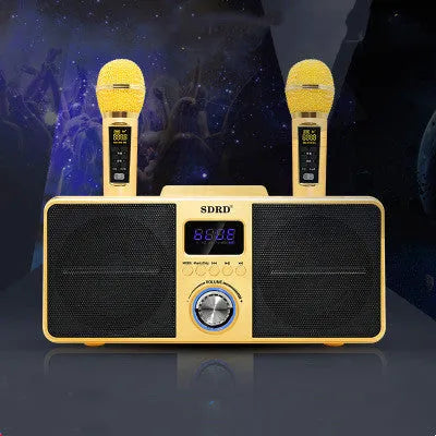 Black home KTV Bluetooth speaker with two wireless microphones for karaoke