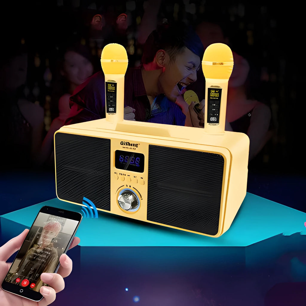 Black home KTV Bluetooth speaker with two wireless microphones for karaoke