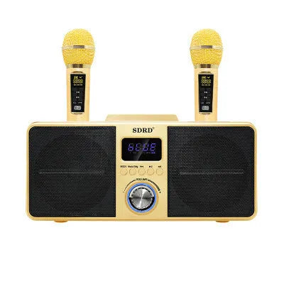 Black home KTV Bluetooth speaker with two wireless microphones for karaoke