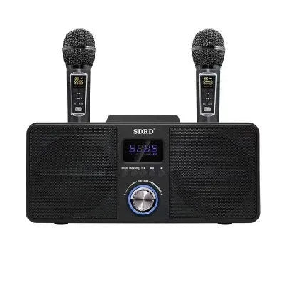 Black home KTV Bluetooth speaker with two wireless microphones for karaoke