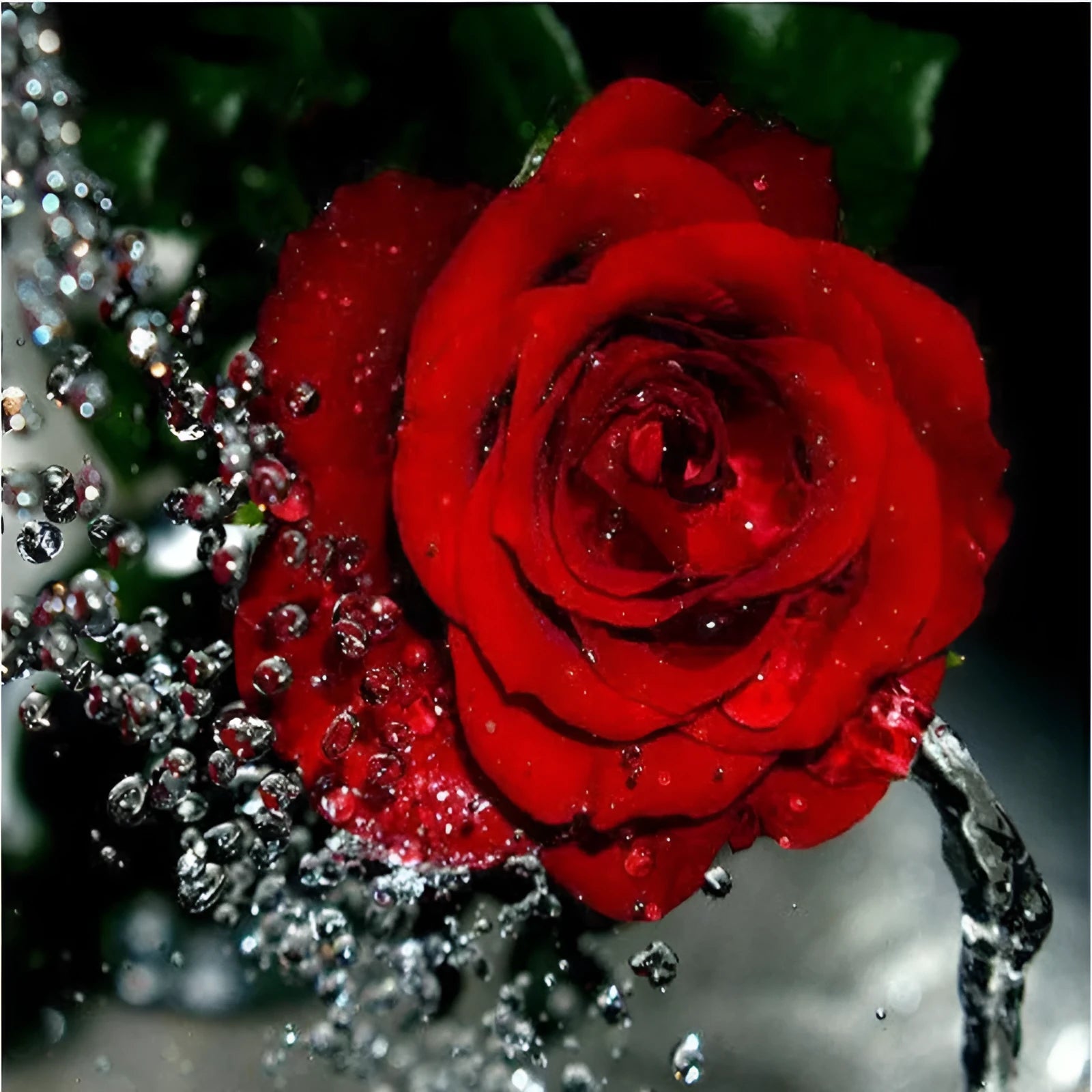 Hand-painted red rose oil painting on frameless 40x50cm linen canvas.