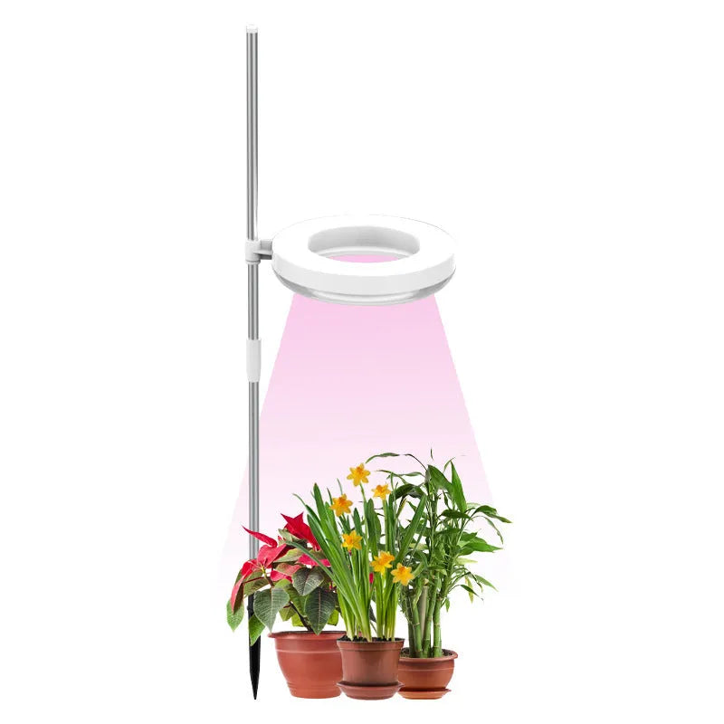 A desktop clamp plant growth lamp with a full spectrum LED light head attached to an adjustable arm.