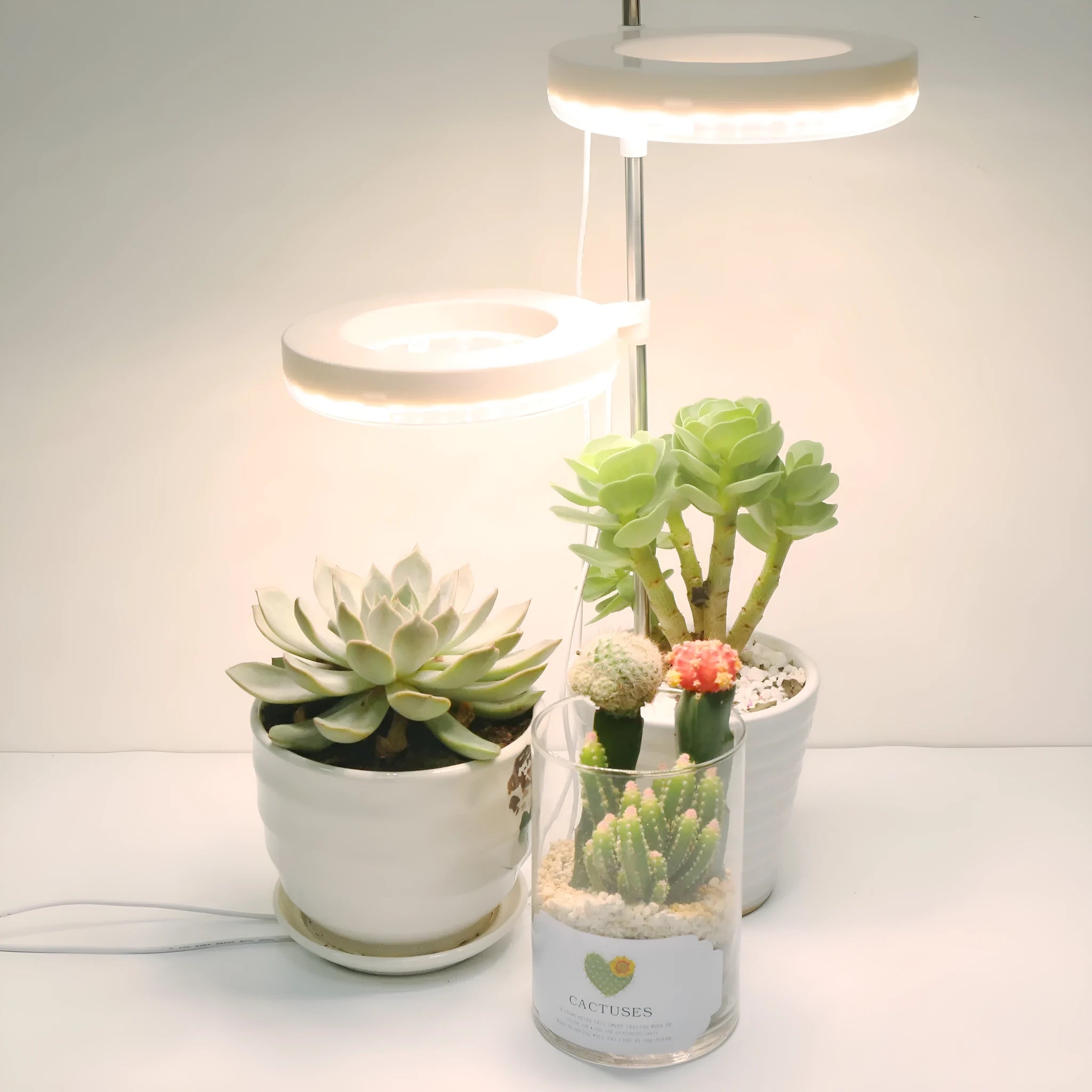 A desktop clamp plant growth lamp with a full spectrum LED light head attached to an adjustable arm.